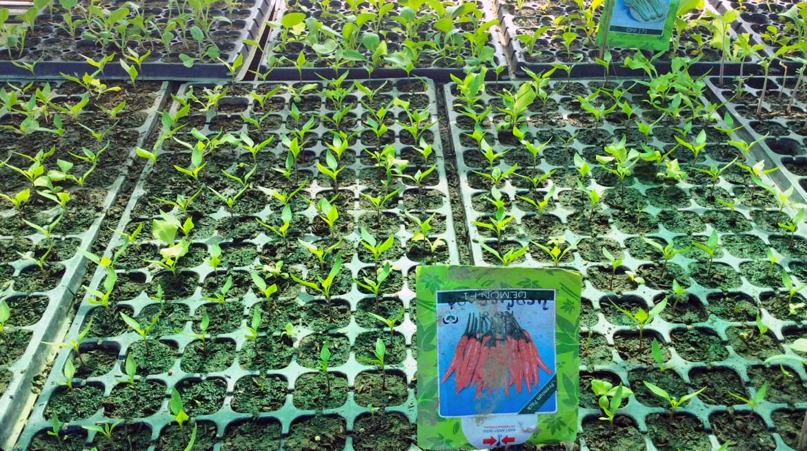 Photo credit: Mercy Corps Photo credit: Mercy Corps