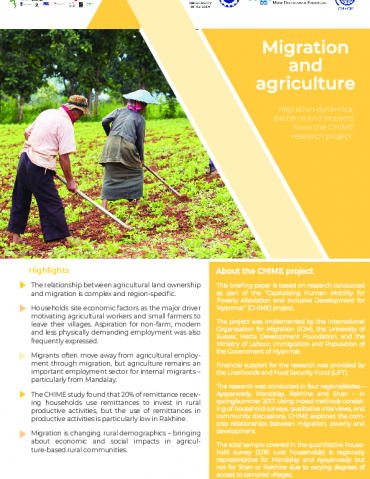 Migration and Agriculture: Migration dynamics, patterns and impacts for ...