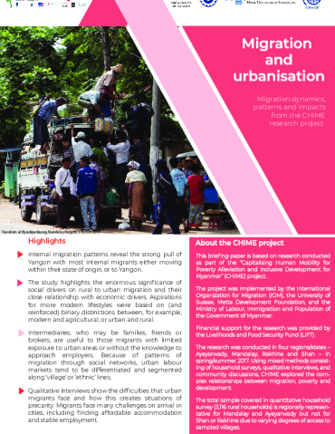 Migration and Urbanisation: Migration dynamics, patterns and impacts ...