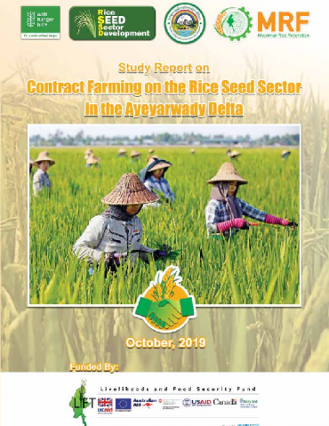 Contract Farming on the Rice Seed Sector in the Ayeyarwady Delta | LiftFund