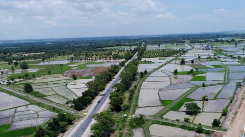 Pumped irrigation project transforms agricultural production  made transformative in central Dry Zone (photo - IWMI/Thet Win)